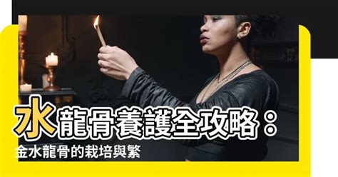 金水龍骨|水龍骨科